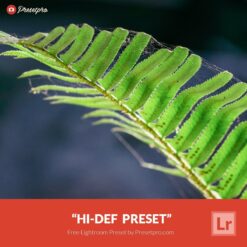 Free-Lightroom-Presets-Hi-Def-Presetpro.com