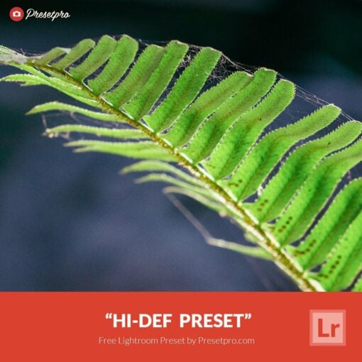 Free-Lightroom-Presets-Hi-Def-Presetpro.com