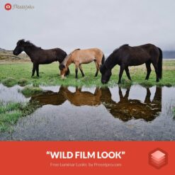 Free-Luminar-Look-Wild-Film-Preset-Presetpro.com