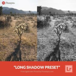 Free-Lightroom-Preset-Long-Shadow-Presetpro.com