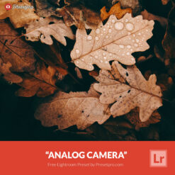 Free Lightroom Preset Analog Camera Presetpro.com