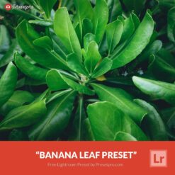 Free-Lightroom-Preset-Banana-Leaf-Preset-Presetpro.com