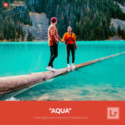 Free Lightroom Preset Aqua Presetpro.com