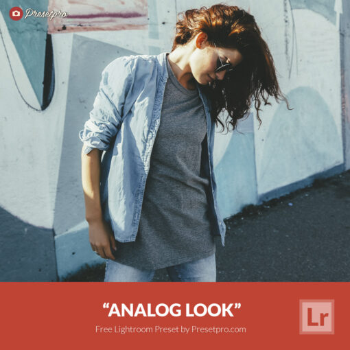 Free Lightroom Preset Analog Look Presetpro.com
