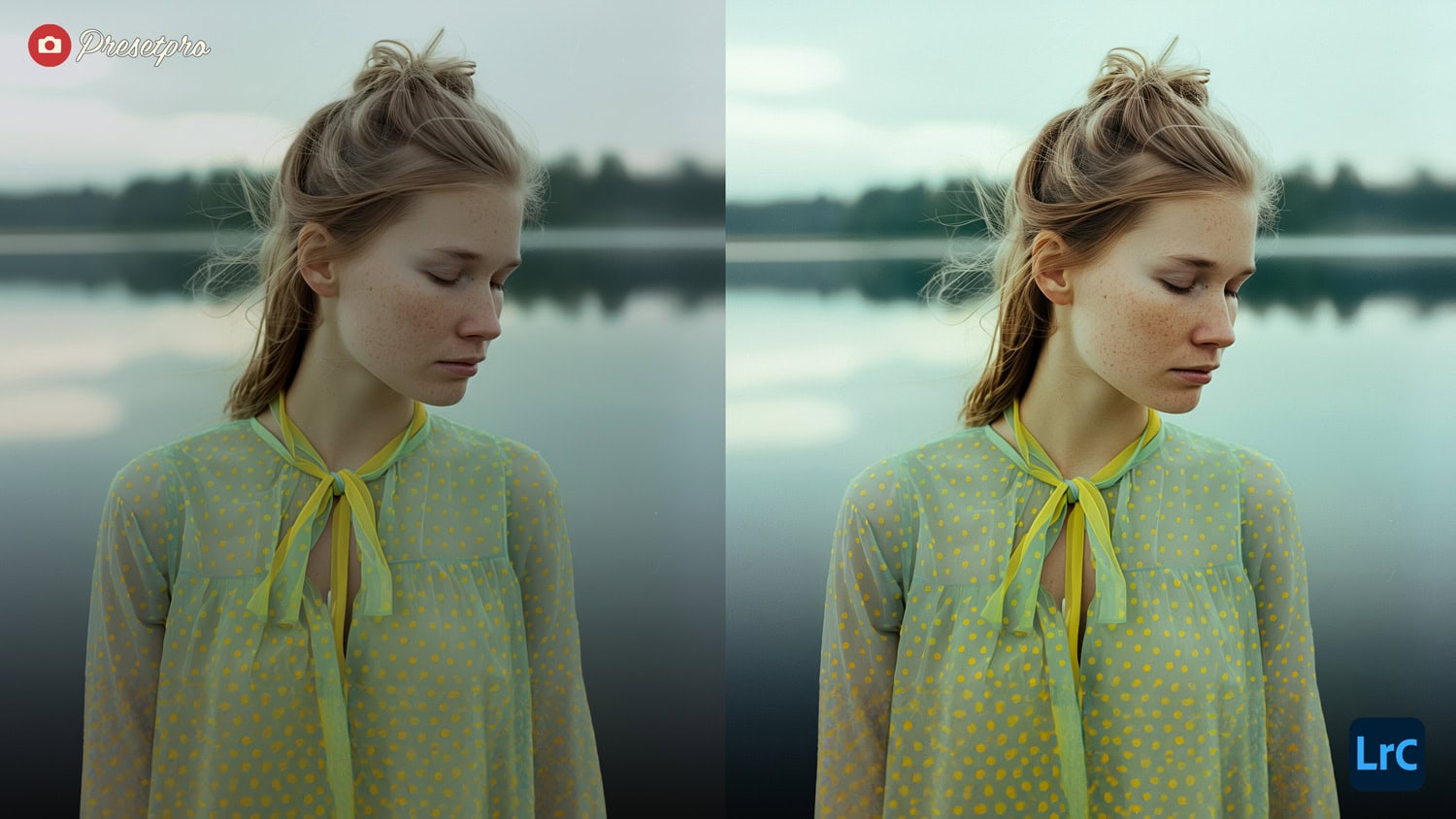 Free Lightroom Preset Retro Vibe Before After Presetpro.com