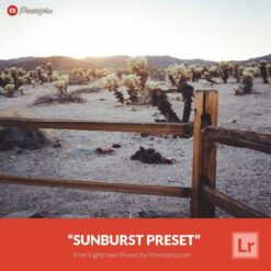 Free-Lightroom-Preset-Sunburst-Preset-Presetpro.com