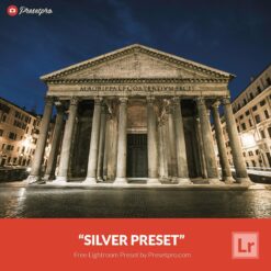 Free-Lightroom-Preset-Silver-Presetpro.com