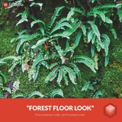 Free-Luminar-Look-Forest-Floor-Preset-Presetpro.com