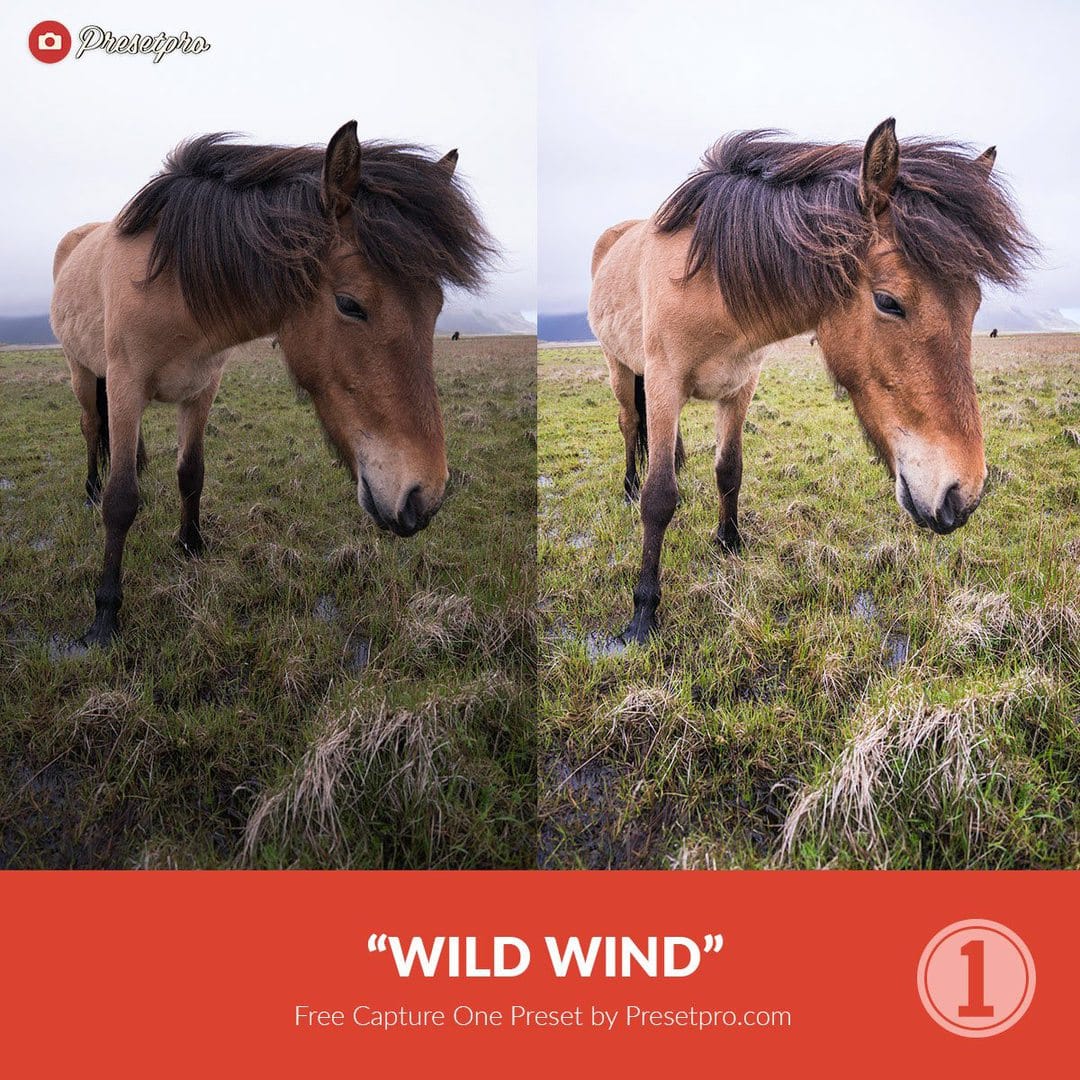 capture one styles installed twice capture one styles installed twice