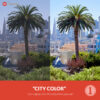 Free Capture One Style City Color Presetpro.com