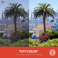 Free Capture One Style City Color Presetpro.com