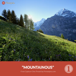 Free Capture One Style Mountainous Presetpro.com