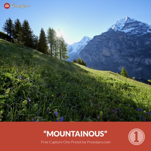 Free Capture One Style Mountainous Presetpro.com