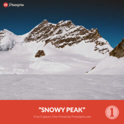 Free Capture One Style Snowy Peak Presetpro.com