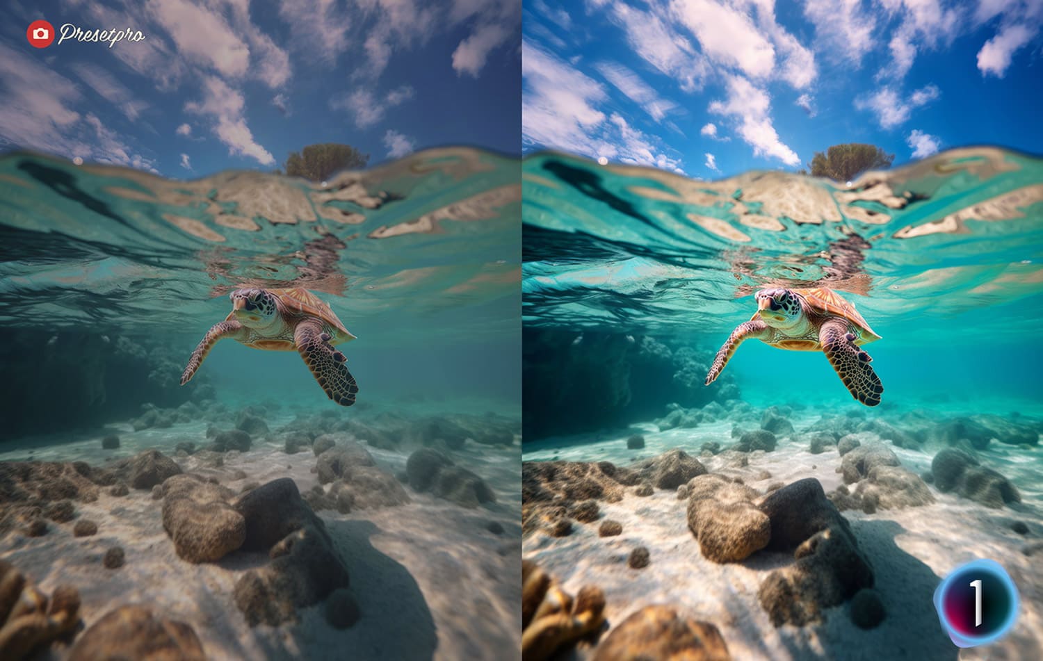 Free Capture One Style Tropic Before and After Presetpro.com