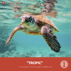 Free Capture One Style Tropic Presetpro.com