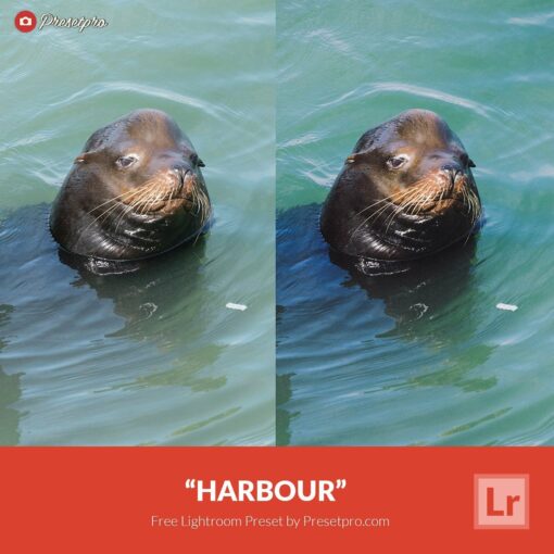 Free-Lightroom-Preset-Harbour-Presetpro.com