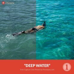 Free-Capture-One-Preset-Deep-Water-Presetpro.com