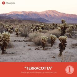 Free-Capture-One-Style-Terracotta-Preset-Presetpro