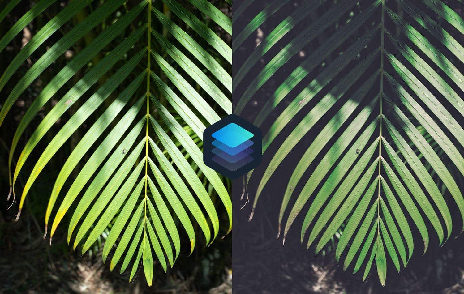 Free-Luminar-Look-Foliage-Preset-Before-and-After-Presetpro