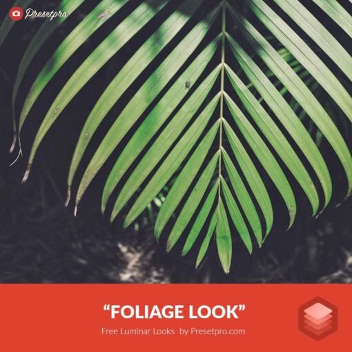 Free-Luminar-Look-Foliage-Preset-Presetpro.com