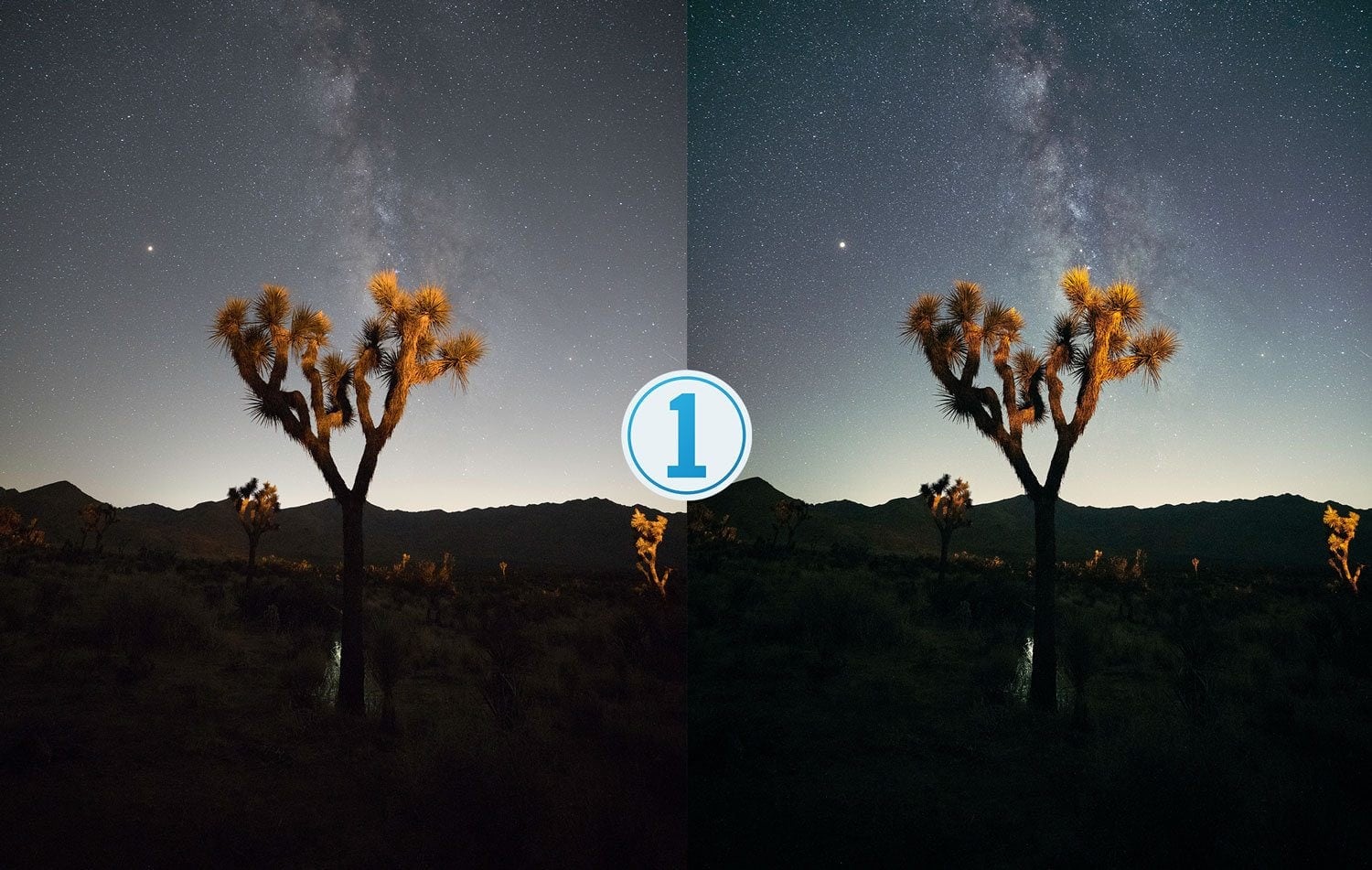 Free-Capture-One-Preset-Stargazer-Before-and-After-Presetpro