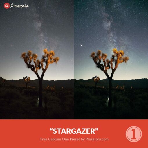 Free Capture One Preset Stargazer