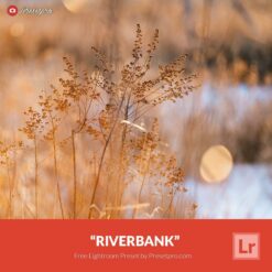 Free-Lightroom-Preset-Riverbank-Preset-Presetpro.com