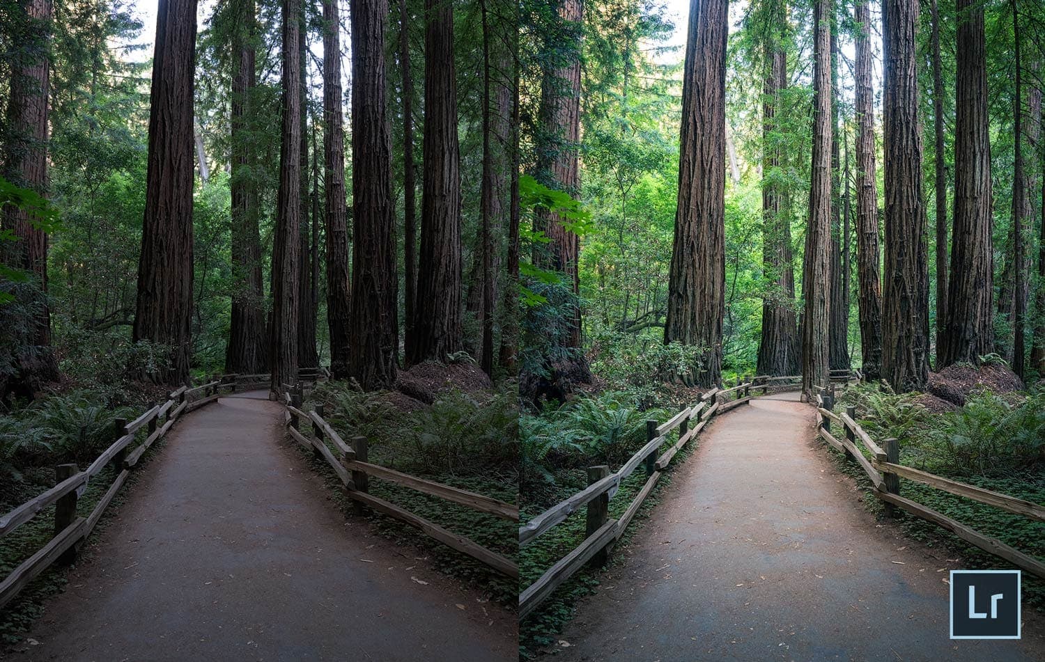 Free-Lightroom-Preset-Trail-Blaze-Before-and-After-Presetpro.com