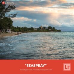 Free-Lightroom-Preset-Seaspray-by-Presetpro.com