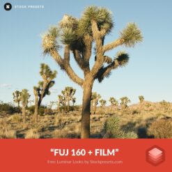 Free-Luminar-Look-FUJ-160-+-film-Preset-Stockpresets