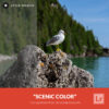 Free Lightroom Preset Scenic Color by Stockpresets.com