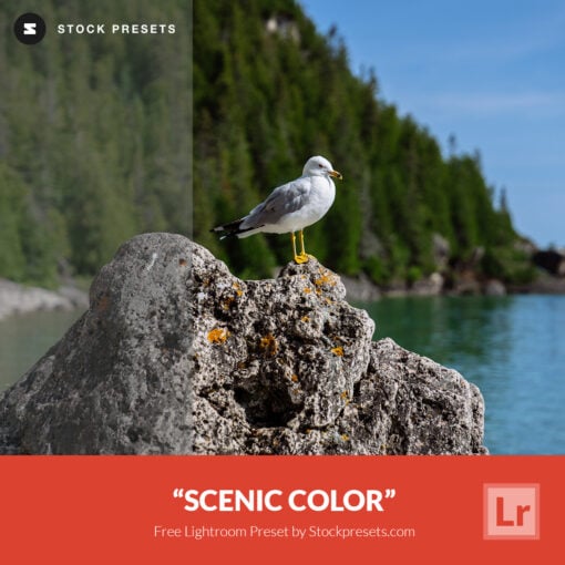 Free Lightroom Preset Scenic Color by Stockpresets.com