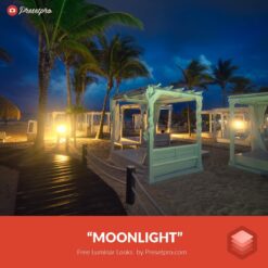 Free-Luminar-Look-Moonlight-Preset-Presetpro.com