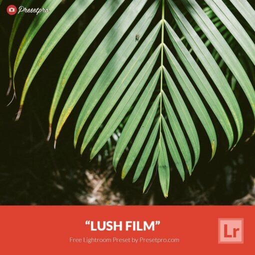 Free-Lightroom-Preset-Lush-Film-Presetpro.com