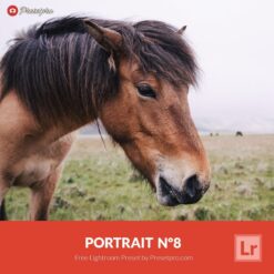 Free-Lightroom-Preset-and-Profile-Portrait-Number-8-Presetpro