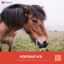 Free-Lightroom-Profile-Portrait-Number-8-Presetpro.com