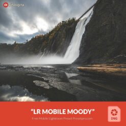 Free-Lightroom-Mobile-DNG-Preset-Moody-Presetpro.com