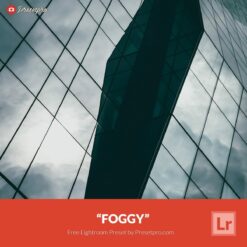 Free-Lightroom-Preset-Foggy-Preset-Presetpro.com