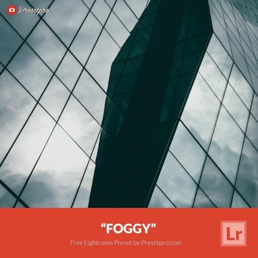 Free-Lightroom-Preset-Foggy-Preset-Presetpro.com