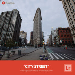 Free Lightroom Preset | City Street