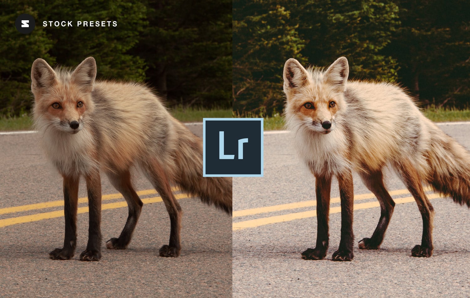 Free-Lightroom-Preset-Vintage-Fox-Before-and-After-Stockpresets