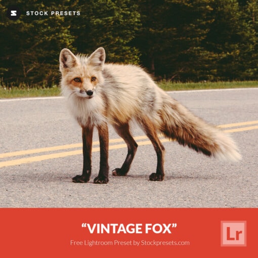 Free-Lightroom-Preset-Vintage-Fox-Stockpresets