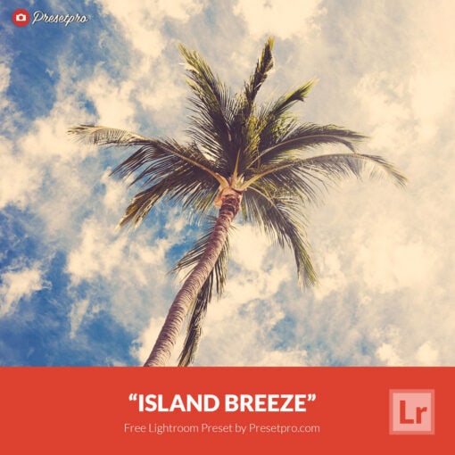 Free Lightroom Preset | Island Breeze