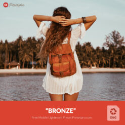 Free Lightroom Mobile DNG Preset "Bronze" Presetpro.com