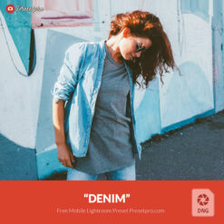 Free Lightroom Mobile DNG Preset Denim