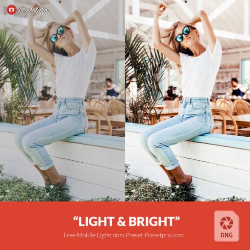 Free Lightroom Mobile DNG Preset "Light and Bright" Presetpro