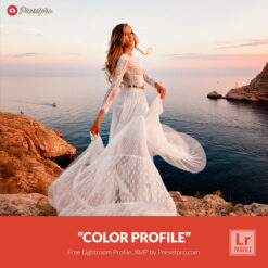 Free Lightroom Profile 'Color Profile' Presetpro.com