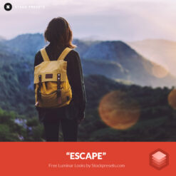 Free Luminar Look Escape Stockpresets.com