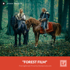 Free-Lightroom-Preset-Forest-Film-Stockpresets